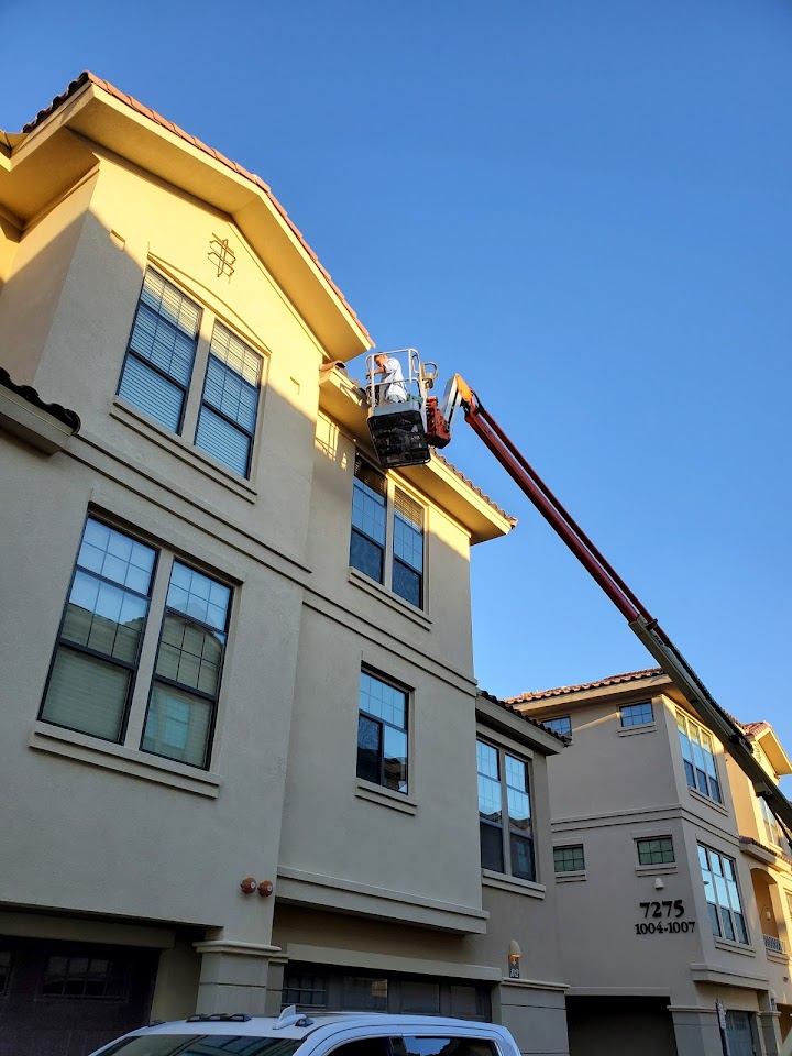 Bee Removal Arizona project
