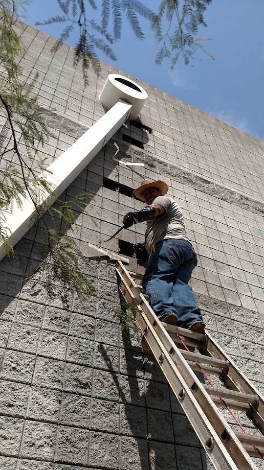 Bee Removal Arizona project